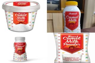 amul-introduced-camel-milk-