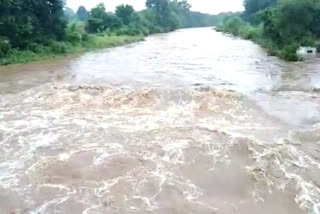 grandson grandmother drowned due to heavy rain pune