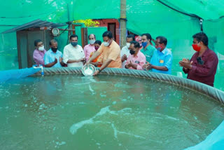 ആലപ്പുഴ  Alappuzha  മൽസ്യ ക്ലബുകളുടെ ഉദ്ഘാടം നടന്നു  ഹൈബ്രിഡ് ചെമ്പല്ലി  കഞ്ഞിക്കുഴി സഹകരണ ബാങ്ക്  Kanjikuzhi Co-operative Bank  fish clubs  fish production