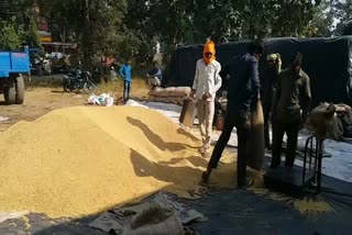 Ramnagar Paddy Purchasing Center