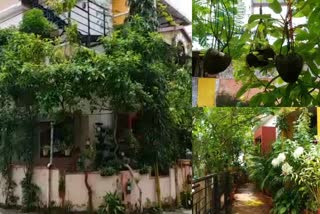 krishna govindha making court yard little forest  krishna govindha little forest  കൃഷ്‌ണ ഗോവിന്ദ വനം