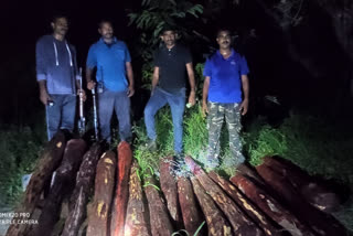 red sandalwood logs