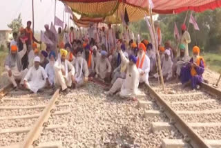 Punjab: Kisan Mazdoor Sangharsh Committee continues protest against farm laws