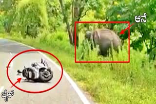 Elephant attack bike riders in gundlupete