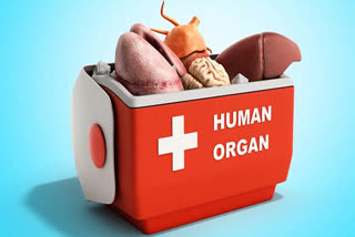 Crime branch report organ donation mafia  organ donation mafia kerala  organ donation mafia active kerala report  മൃതസഞ്ജീവനി പദ്ധതി  അവയവദാന മാഫിയ സജീവമെന്ന് ക്രൈംബ്രാഞ്ച്  ക്രൈംബ്രാഞ്ച് മൃതസഞ്ജീവനി പദ്ധതി  ഐ.ജി ശ്രീജിത്ത്