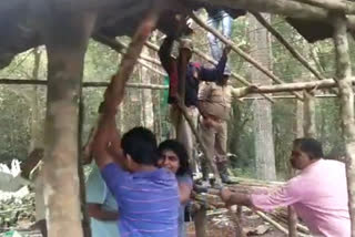 People Assaulted on Forest Department officials