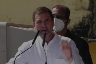 Rahul gandhi