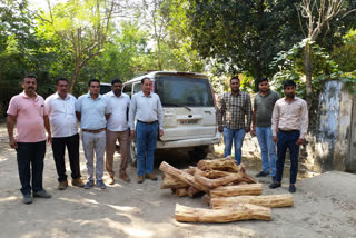 illegal wood smuggling in yamunanagar