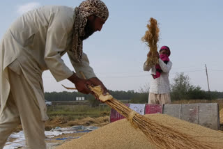 زرعی زمین پر تعمیرات سے کسان پریشان