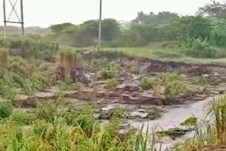 cultivate-a-farmer-field-in-heavy-rain-raichur