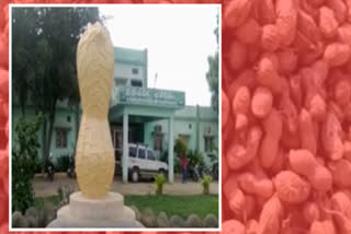 kadiri lepakshi peanut