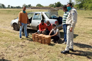 three hemp smugglers arrested