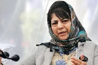 mehbooba-will-not-contest-in-elections-until-article-370-is-repealed