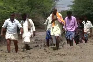 Farmers who have been fighting constantly for 50 years to build the bridge