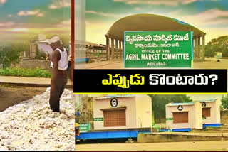 Crisis in cotton purchases in Adilabad district