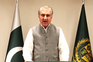 Pak on grey list  Financial Action Task Force  meeting of the FATF  FATF blacklist  FATF retains Pakistan on grey list, FM Qureshi calls it 'defeat for India'