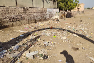 Jaisalmer news, garbage collection, garbage in school ground