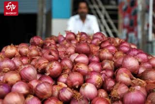 alwar famous onion,  onion cultivation in alwar,  अलवर की खबर,  राजस्थान हिंदी न्यूज