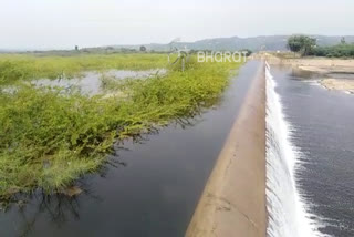 500-acre Killarahatti Lake id filled with prick