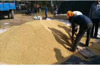 Ban on 5 rice mills haldwani news