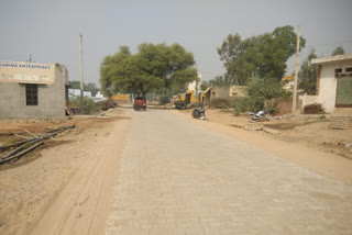 accident can take place due to trees on the road in bhiwani