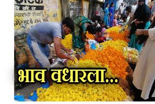 marigold-flower-prices-