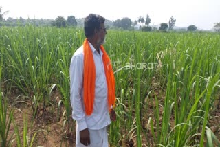 farmer basayya swamy getting profit from integrated agriculture