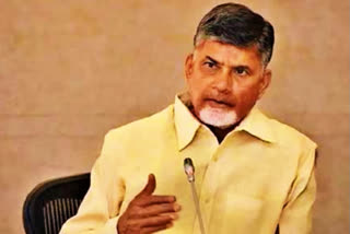 chandrababu comments on gitam issue