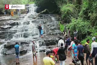 கொடைக்கானலில் அருவிக‌ளில் குளியல் போட குவியும் சுற்றுலா பயணிகள்!