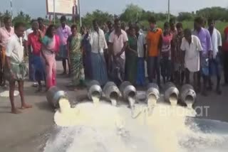 milk-farmers-protest-in-tiruthani