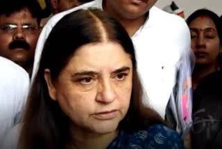 Maneka Gandhi lodged complaint at the dankaur police station