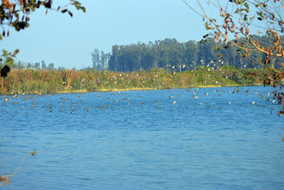 Asan Conservation Reserve