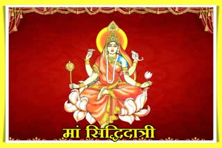 jaipur news, Shardiya Navratri, worship mother Siddhidatri