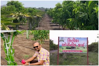 Dragon Fruit Farming Success Story