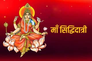 siddhidatri in worshiped on the last day of shardiya navratri