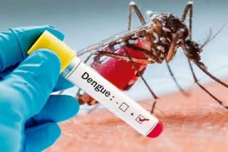 कन्नौज में डेंगू से मौत