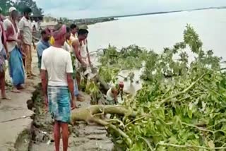 public found solution to stop erosion in dhubri assam etv bharat news