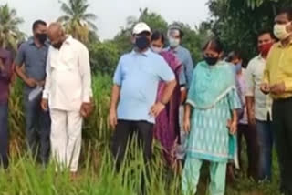 vizianagaram district collector hari jawahar lal visit crops