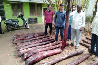 Seizure of red sandalwood in Chittoor district