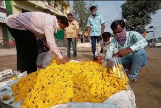 price of marigold skyrocketed on the occasion of dussehra  in solapur