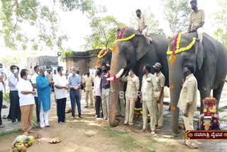 ST Somashekhar did worship to elephants