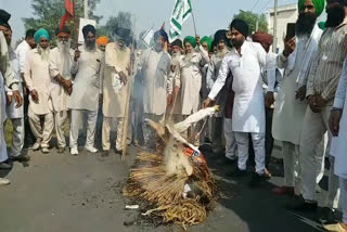 Farmers' organizations celebrate Kala Dussehra in protest of agricultural laws