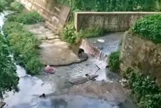 hemavathi-river-from-hassan-city-waste-join