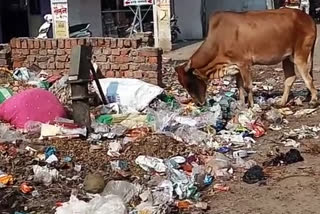 सड़कों पर कूड़े का अंबार.