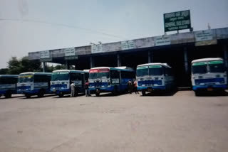 haryana roadways bus