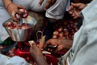 Onion price drop by up to Rs 10/kg in consuming mkts on govt action against hoarding