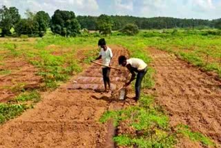 women doing commercial farming due to corona in ranchi