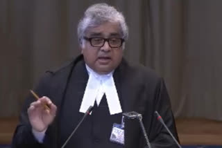 Harish Salve