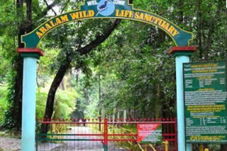 aralam wild life sanctuary  aralam closed for indefinite period  kannur aralam wildlife sanctuary  kannur collector  കണ്ണൂർ  ആറളം വന്യജീവി സങ്കേതം  ആറളം വന്യജീവി സങ്കേതം അടച്ചു  കണ്ണൂർ കലക്‌ടർ