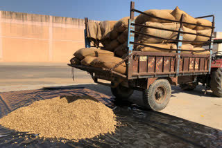 Purchase of groundnuts